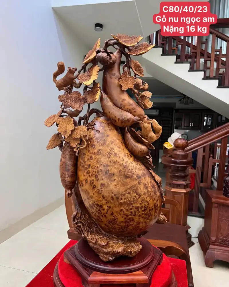 Bầu Bí Sóc Nu Ngọc Hàng Đục Kỹ Kênh Tơi Sắc Nét G5747