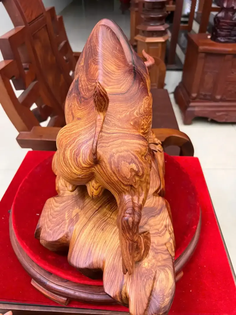 bo-tot-go-cam-viet-G5127-4_1_Bò Tót Gỗ Cẩm Việt Bám Chun To Đẹp Giá 5.200 Triệu Kích Thước Cao 33cm, Ngang 54cm, Sâu 24cm Tượng Bò Tót Gỗ Cẩm Việt Bám Chun To Đẹp Liền Khối G5127