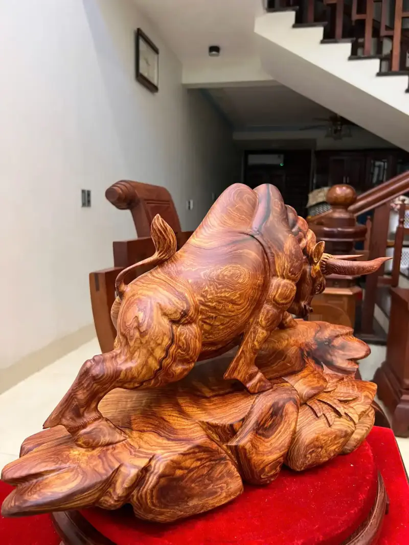 bo-tot-go-cam-viet-G5127-6_1_Bò Tót Gỗ Cẩm Việt Bám Chun To Đẹp Giá 5.200 Triệu Kích Thước Cao 33cm, Ngang 54cm, Sâu 24cm Tượng Bò Tót Gỗ Cẩm Việt Bám Chun To Đẹp Liền Khối G5127