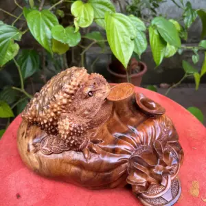 coc-lam-bao-G5284-4 Tượng Cóc Lằm Bao Tiền Gỗ Nu Ngọc Am Liền Khối G5284