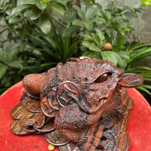 coc-ngam-tien-G5798-2 Tượng Cóc Ngậm Tiền Gỗ Mun Hoa Hàng Kỹ Liền Khối G5798