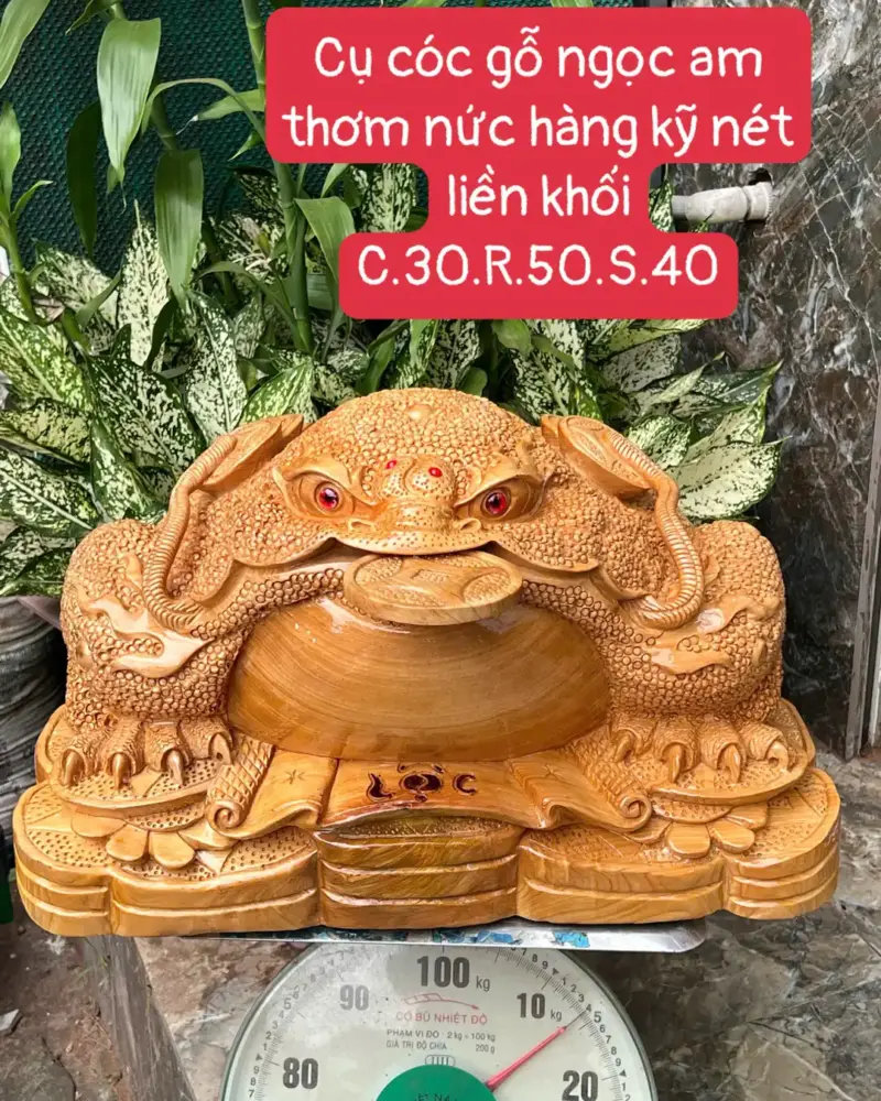 cu-coc-go-G5649-1 Tượng Cụ Cóc Gỗ Ngọc Am Thơm Nức Hàng Kỹ Nét Liền Khối G5649