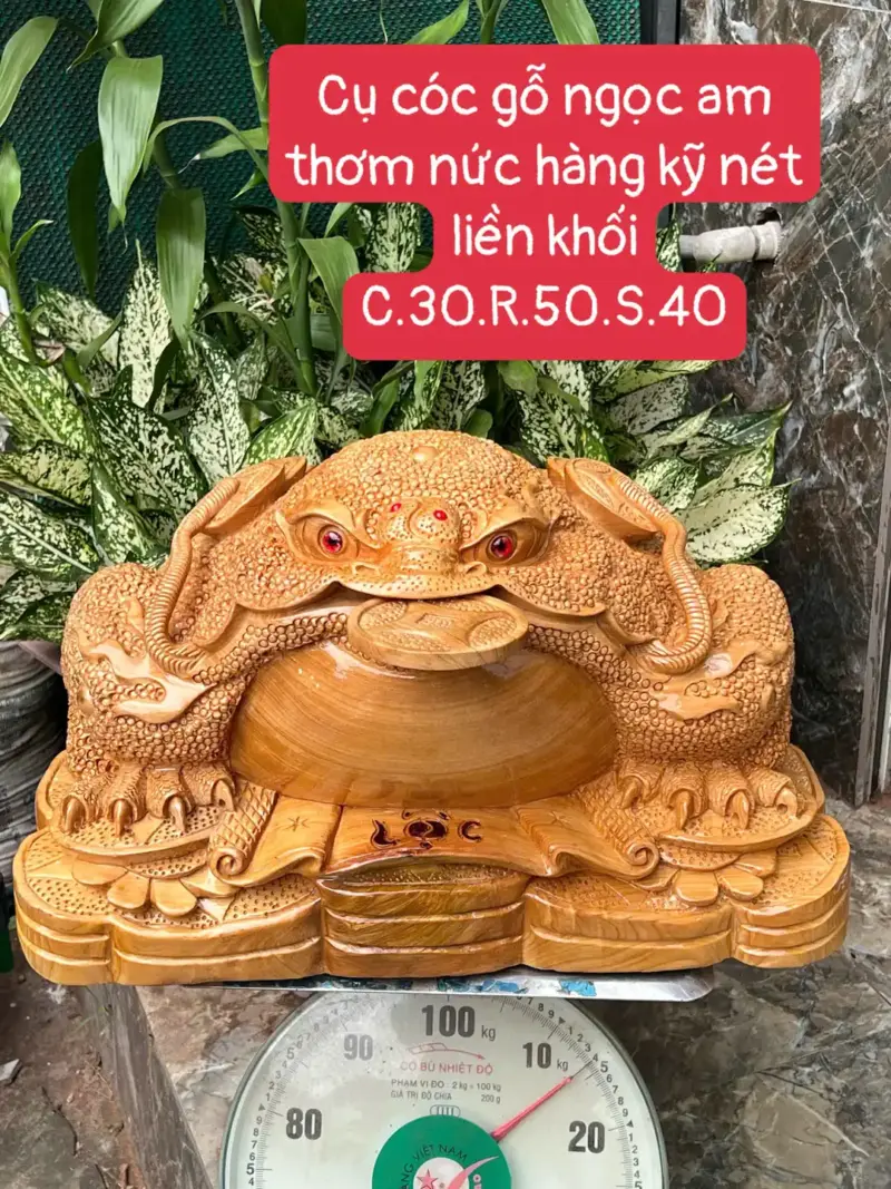 cu-coc-go-G5649-1 Tượng Cụ Cóc Gỗ Ngọc Am Thơm Nức Hàng Kỹ Nét Liền Khối G5649