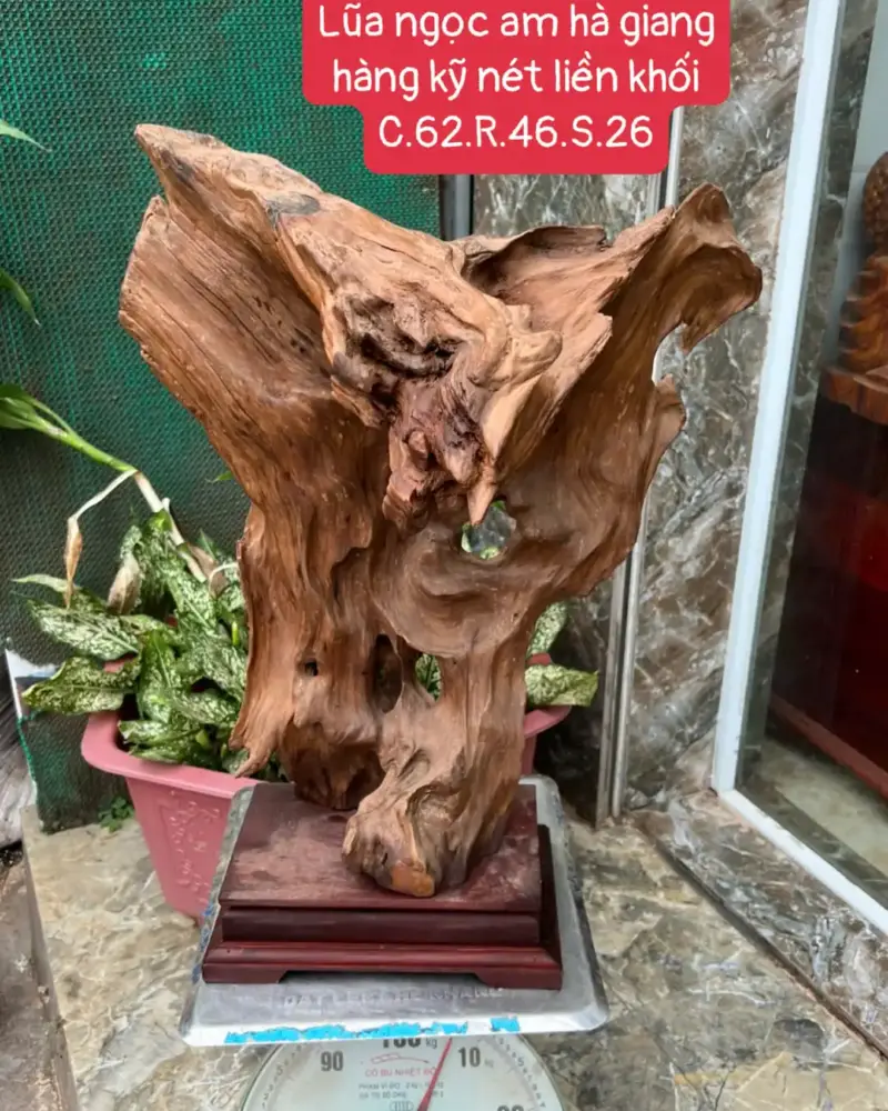 Tượng Gỗ Lũa Ngọc Am Hà Giang Hàng Kỹ Nét Liền Khối G5679