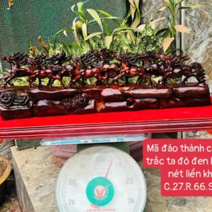 ma-ao-thanh-G6066-1 Tượng Mã Đáo Thành Công Gỗ Trắc Ta Đỏ Đen Hàng Kỹ Nét Liền Khối G6066