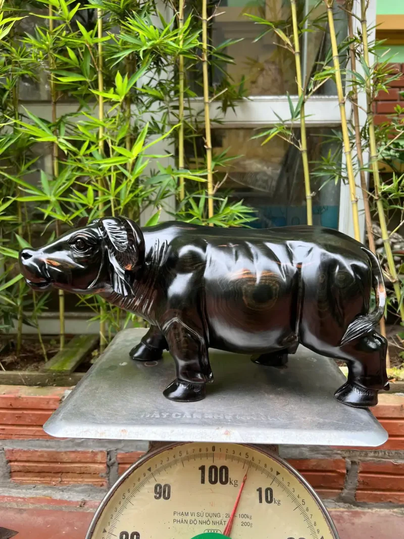 trau-venh-sung-G6035-2 Tượng Trâu Vểnh Sừng Gỗ Mun Hoa Hàng Đẹp Liền Khối G6035